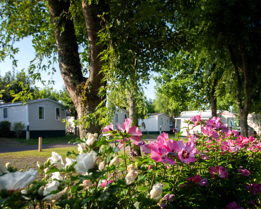 Camping le Bascat