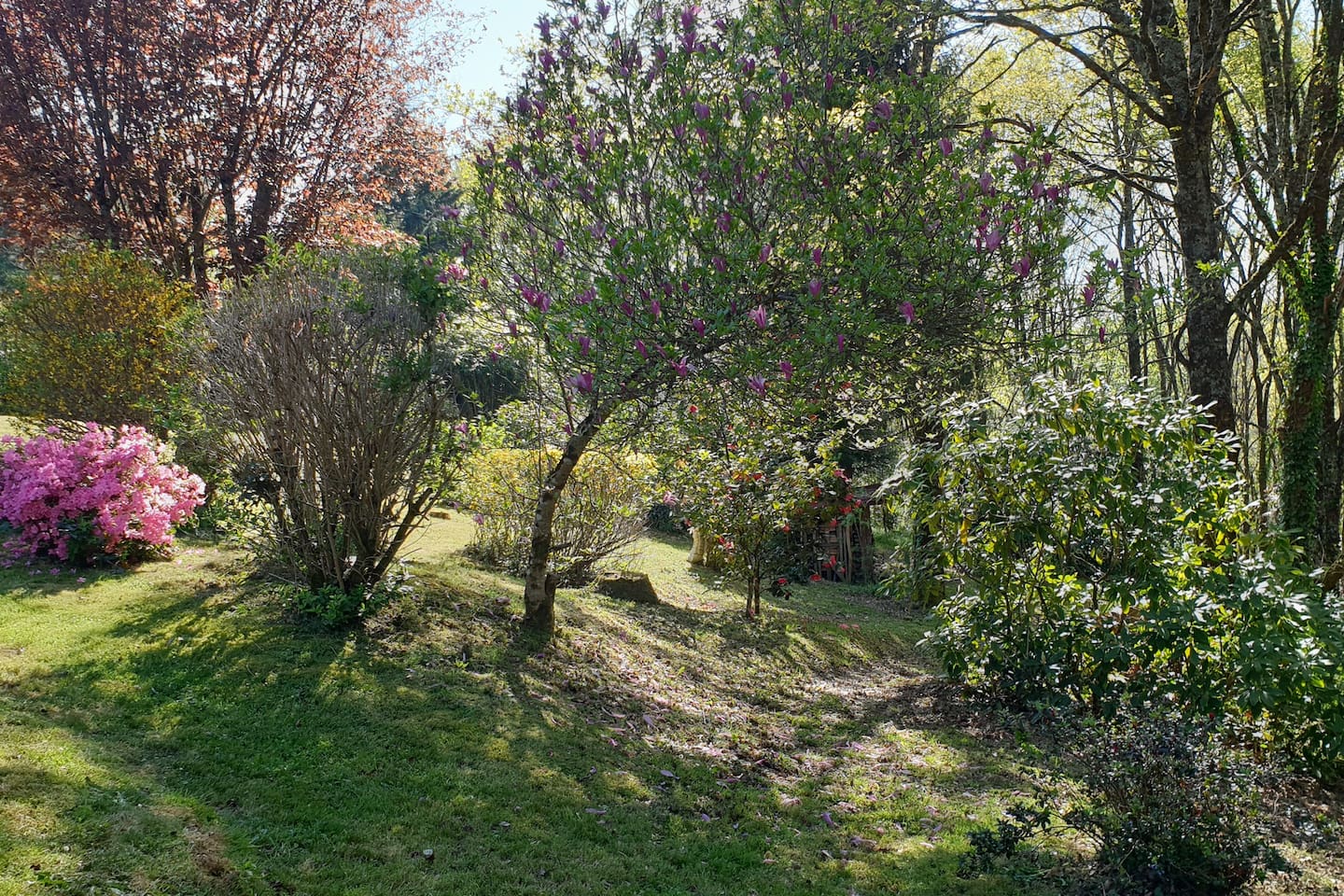 Parc