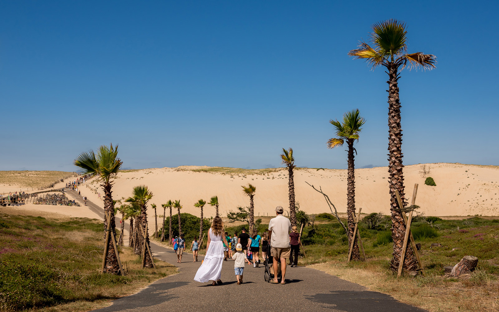 Camping le Vieux Port