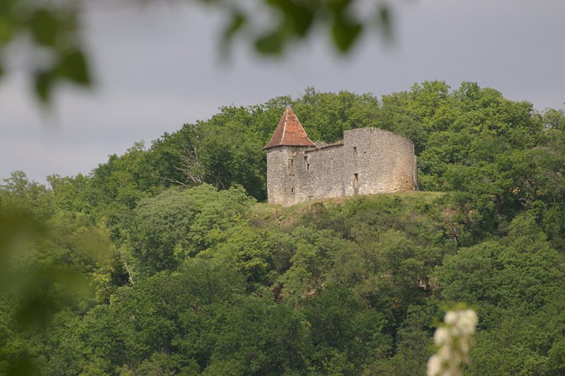Affiche ou photo : Visite et dégustation au Château du Cros