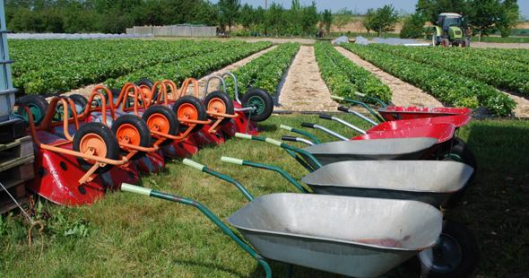 Le Jardin des Saveurs_1
