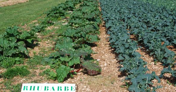 Le Jardin des Saveurs_2