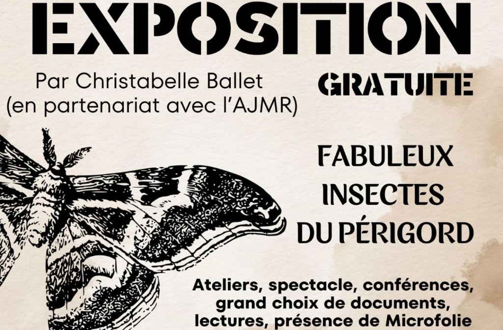 Exposition | Fabuleux insectes du Périgord