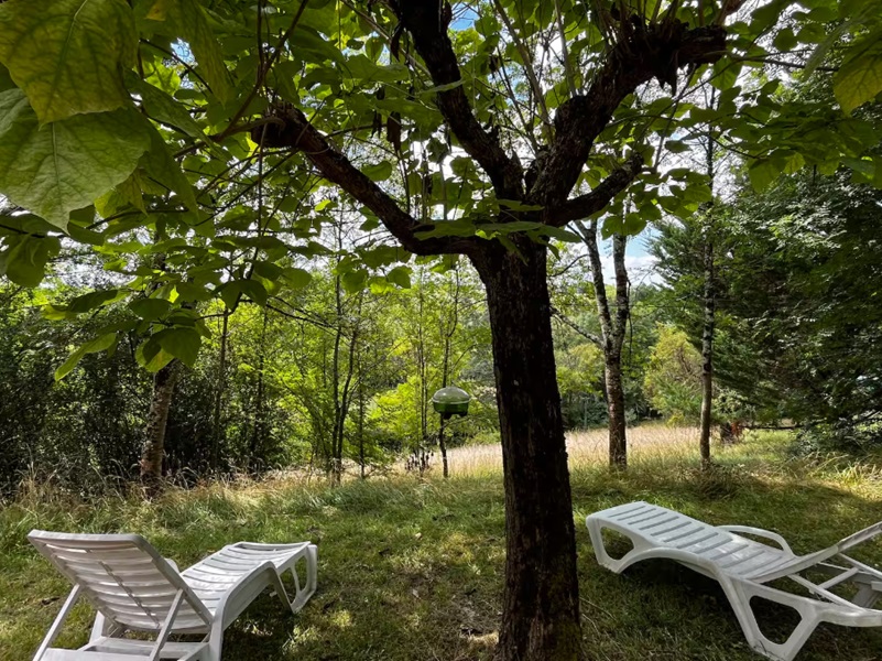 Gîte Le Sous-bois