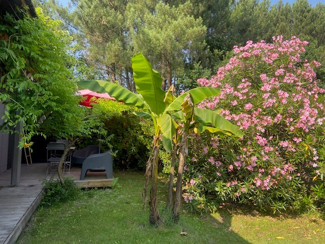 L'air du temps