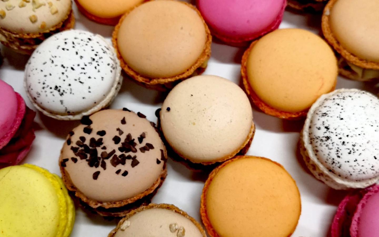Pâtisserie l'Atelier de Manu