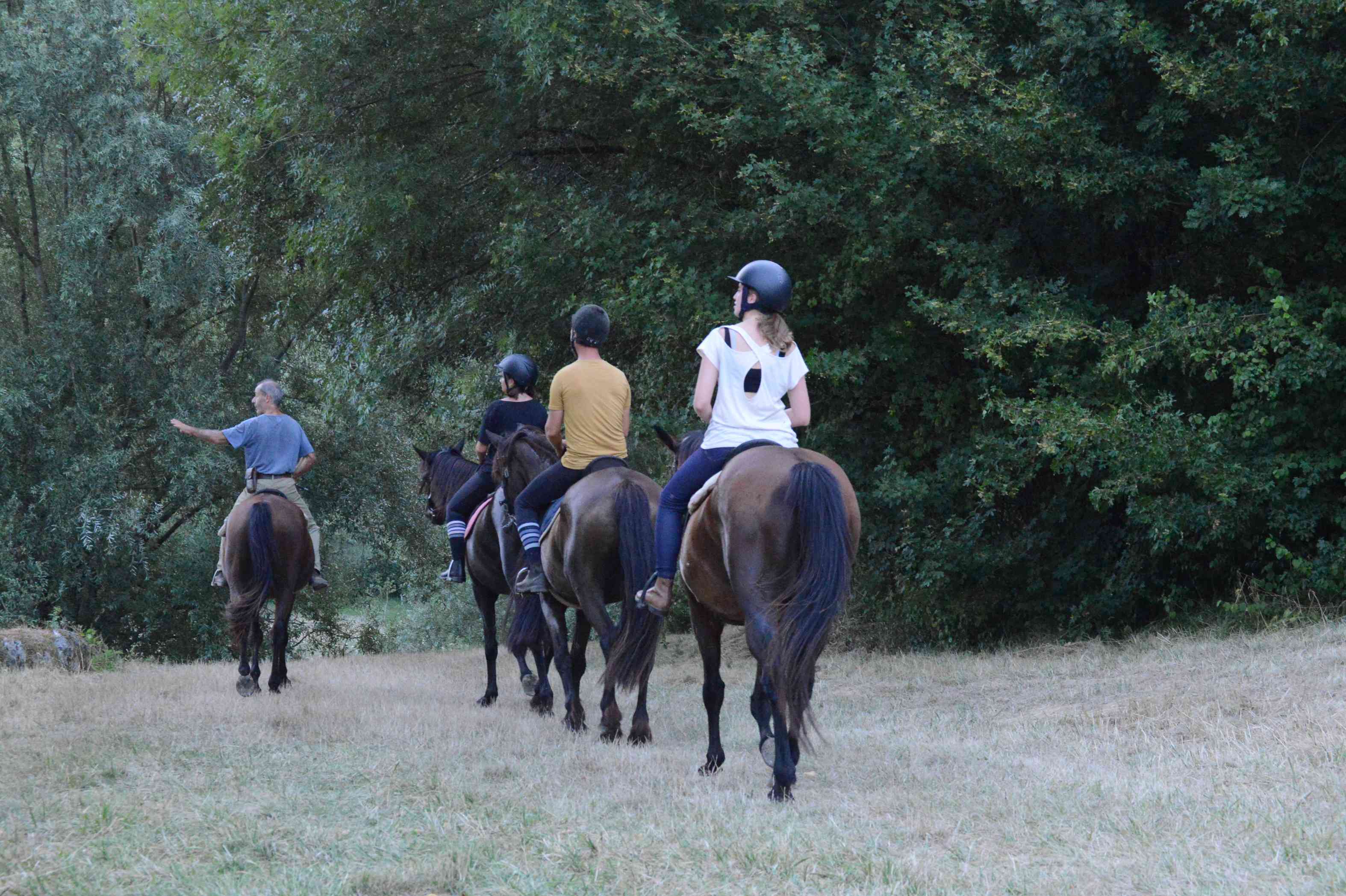Ferme Equestre Crinière au Vent, Monbalen - photo 4