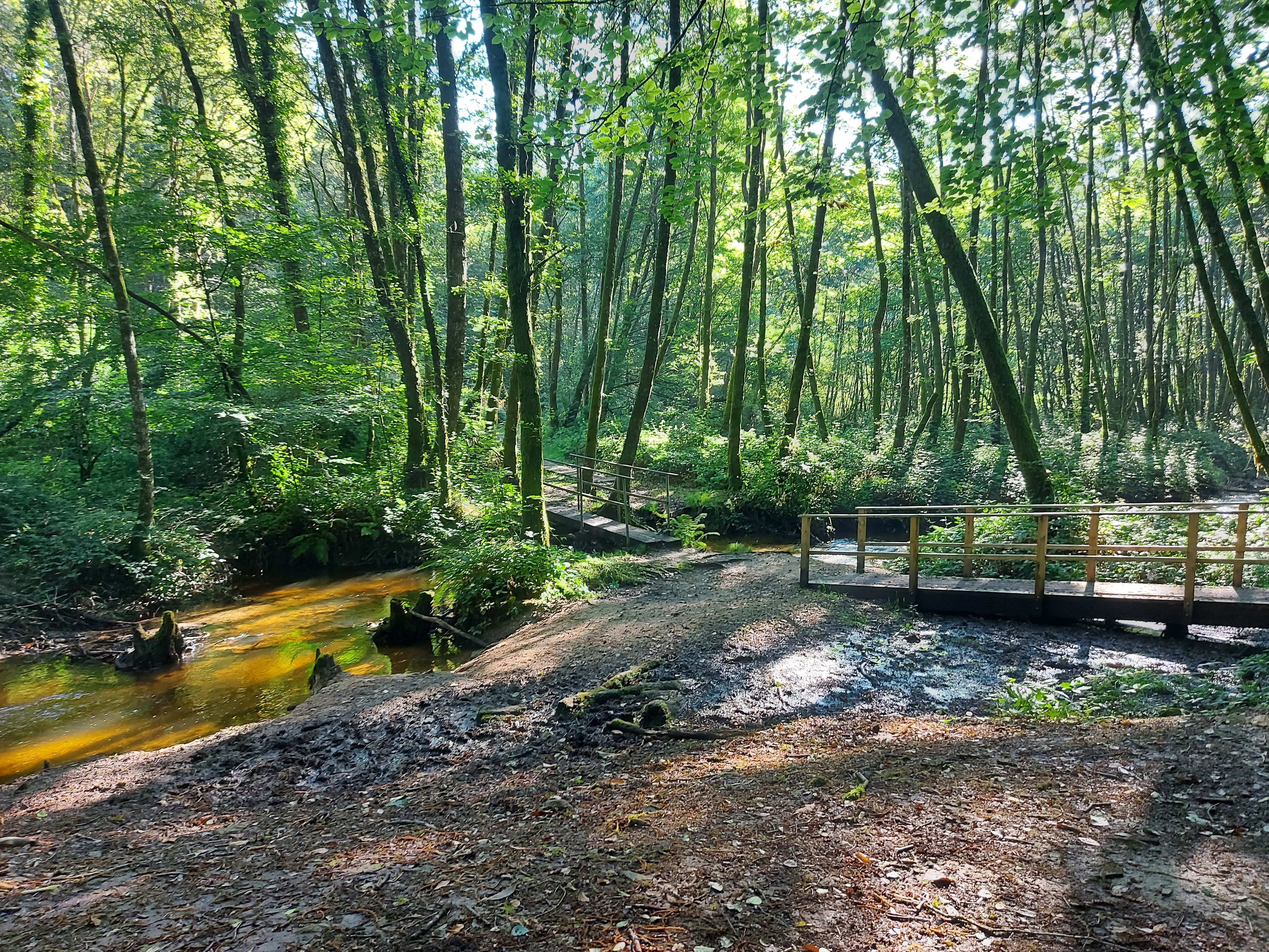 Camping l'Ecrin Nature