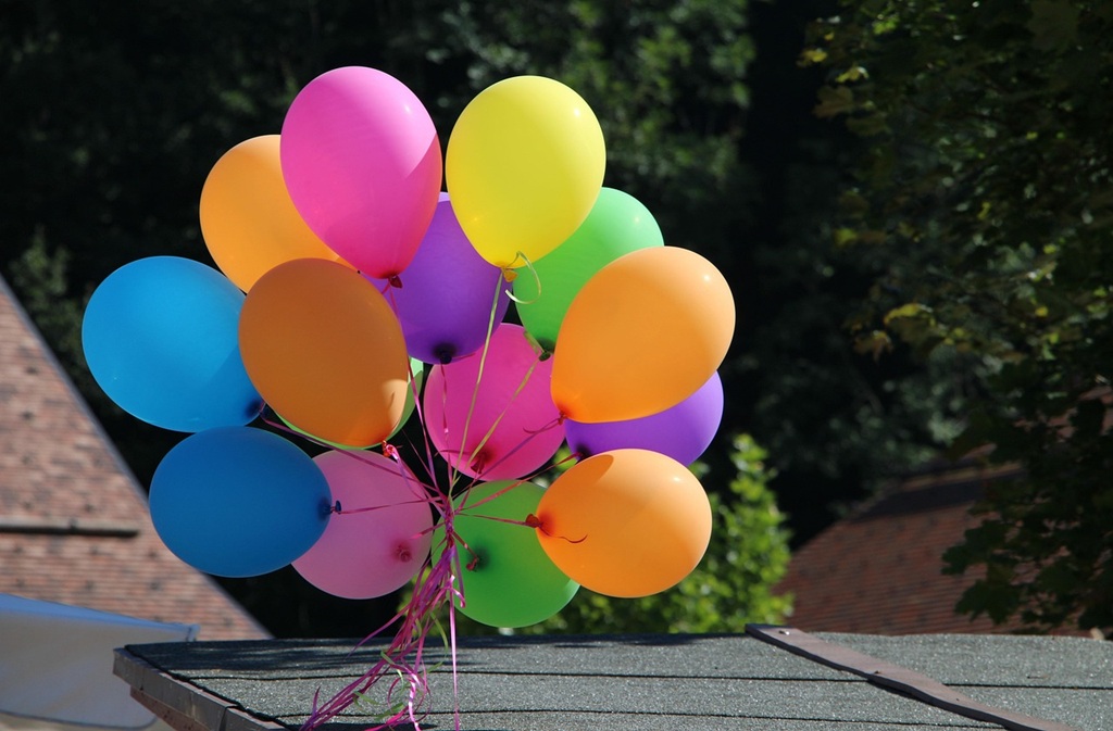 Fête du Fleix !