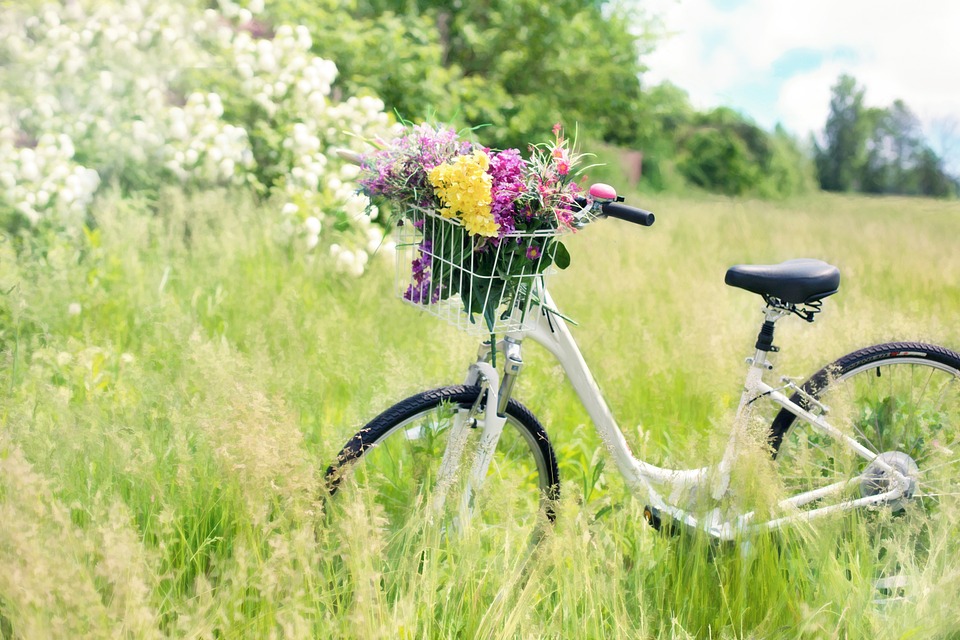 Vélo Découverte "Pays de Saint-Aulaye", en direction de la Charente