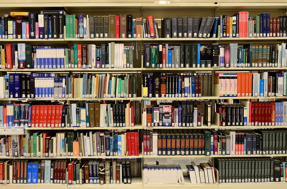 Bibliothèque municipale Gabriel Fauthoux, Saint-Vincent-de-Tyrosse - photo 3