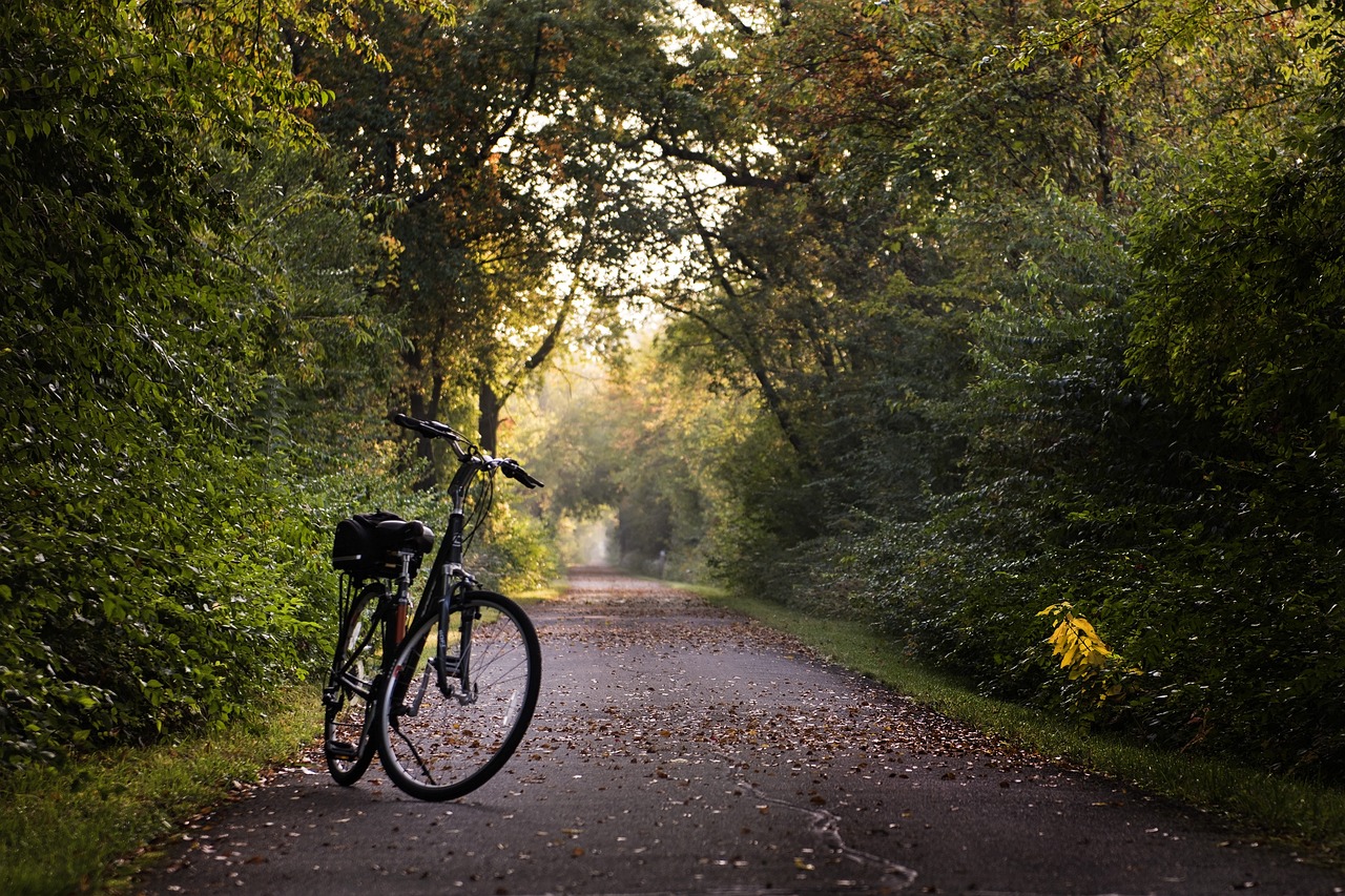 Bella'Cycles - Location de vélos à assistance éléctrique