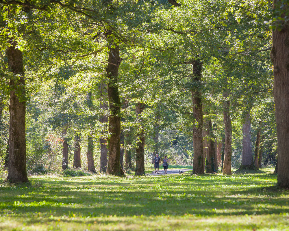 Le bois de Boulogne
