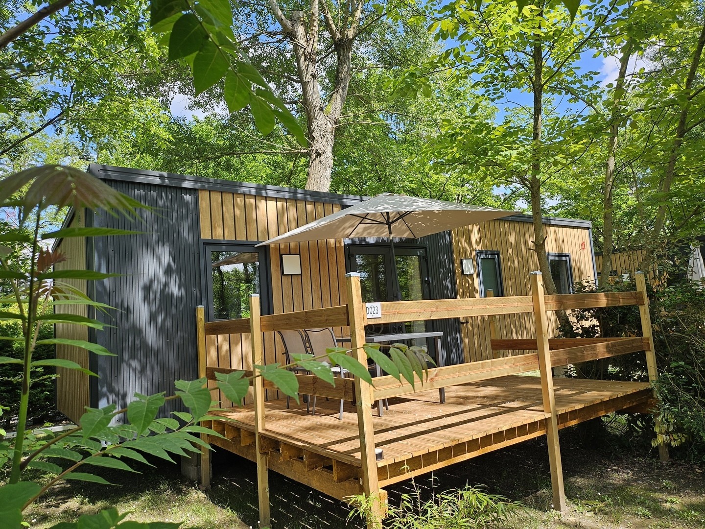 Camping City Nature