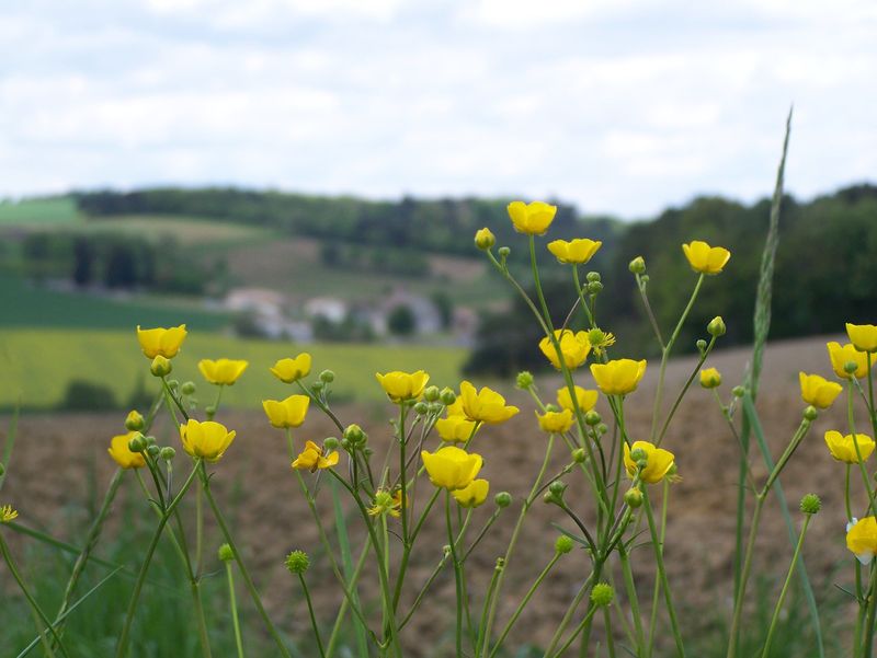 Village de Saint-Léon