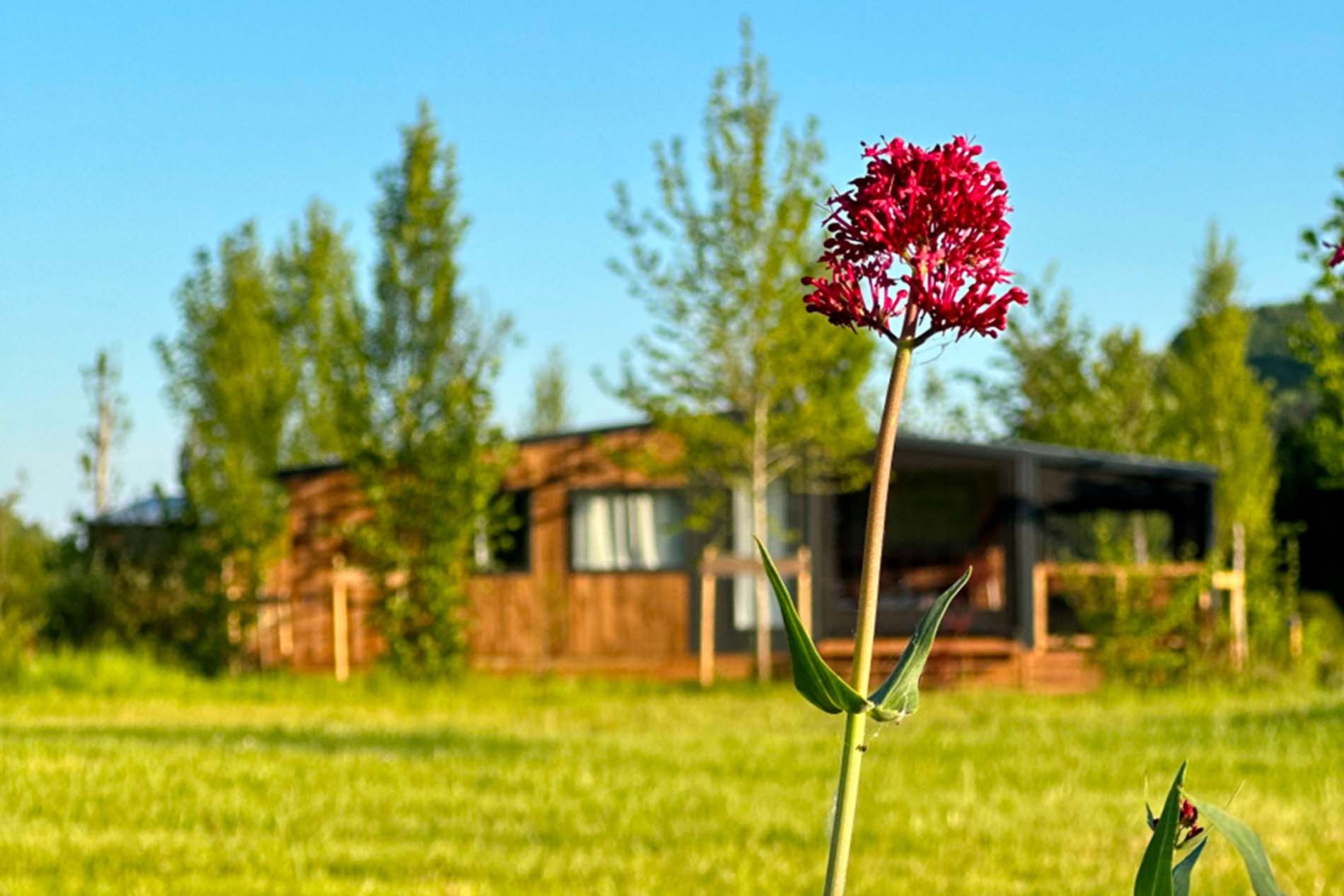 Camping les Cinq Châteaux