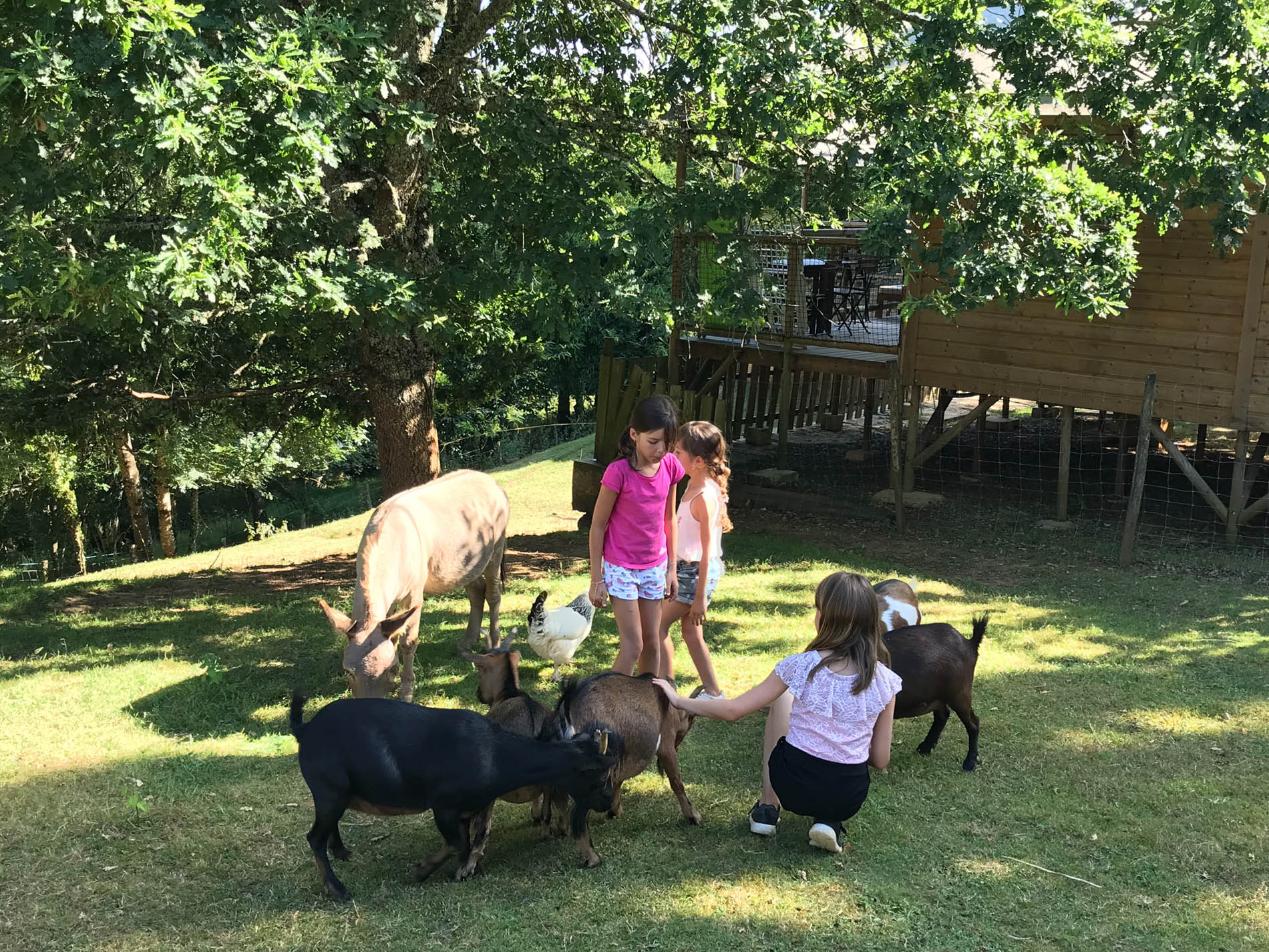 Camping l'Offrerie
