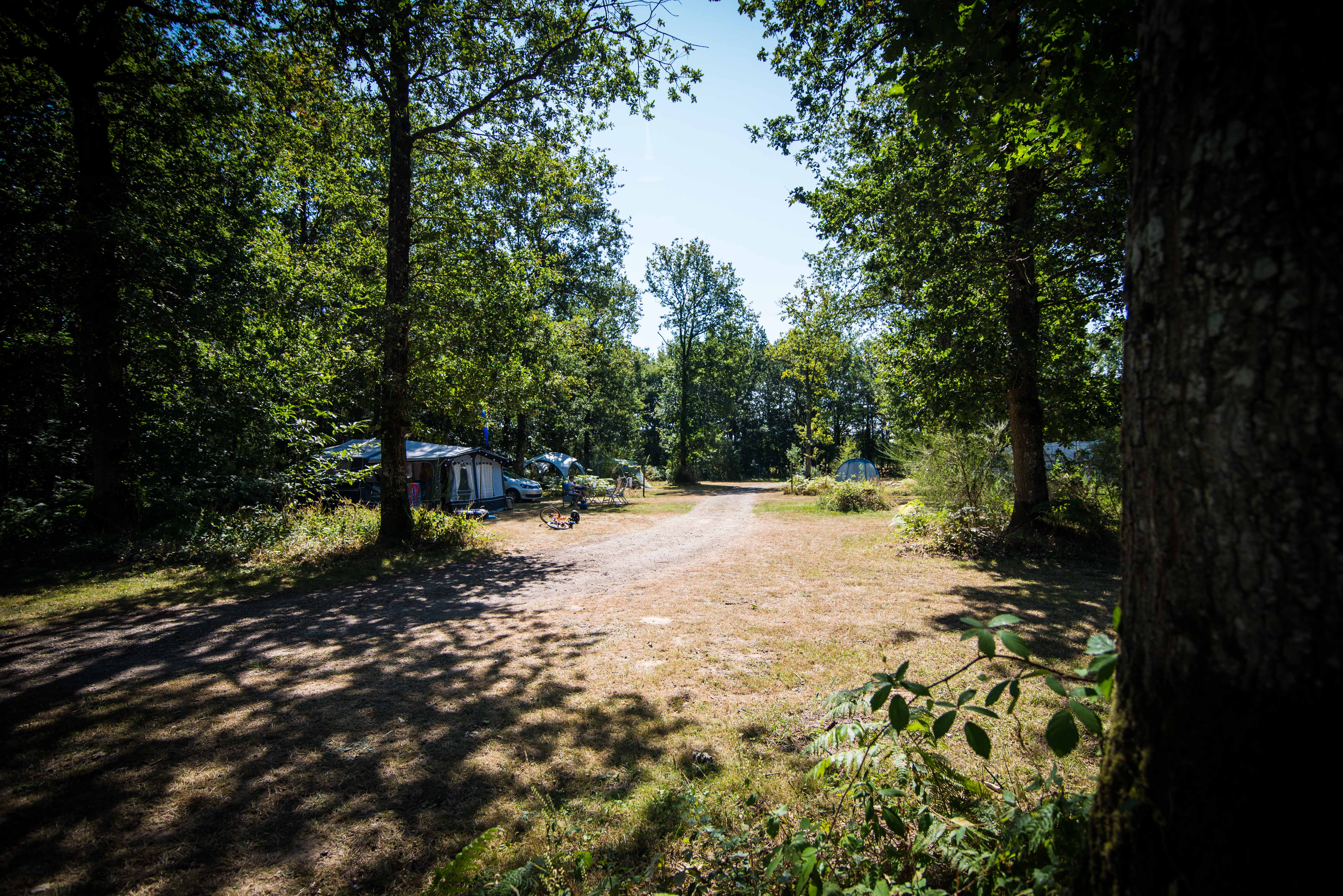 Camping le Bois de Saint-Hilaire_18