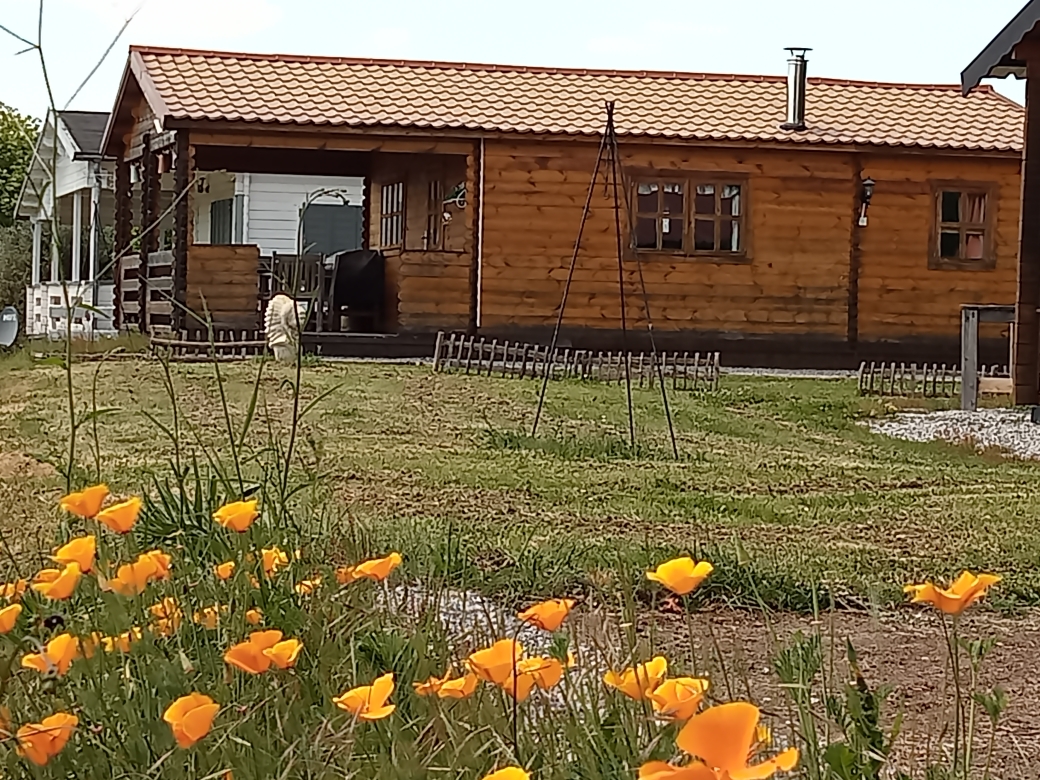 Chalet Florida (Camping La Perle)