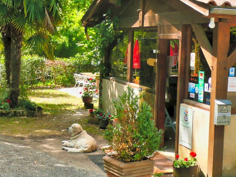 Camping le Pech de Caumont