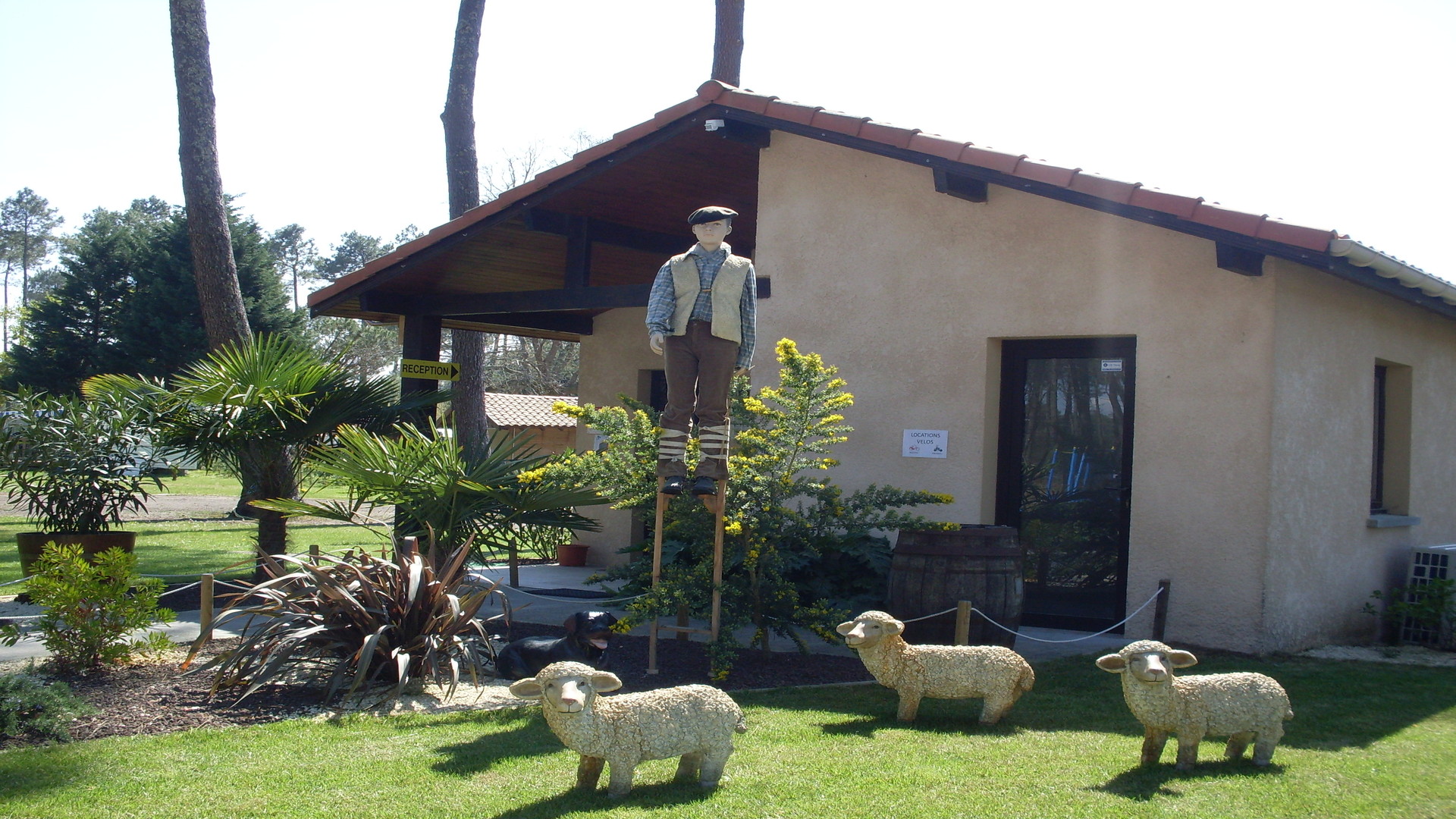 Camping les Échasses