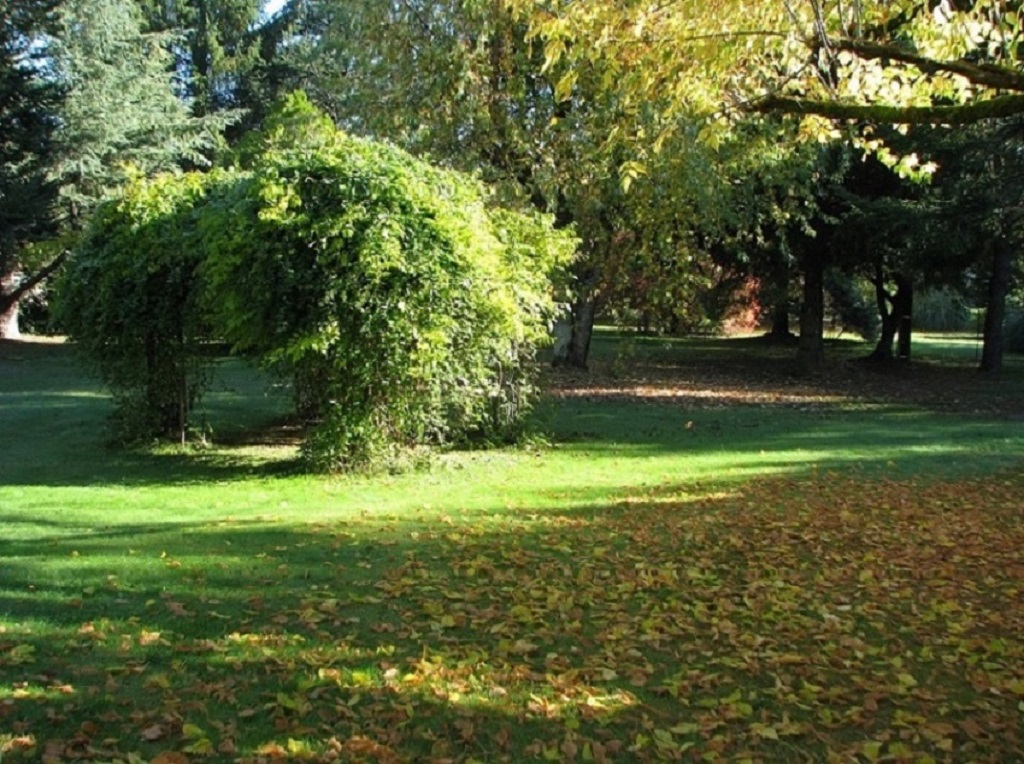 Chambres d'hôtes A l'orée du bois