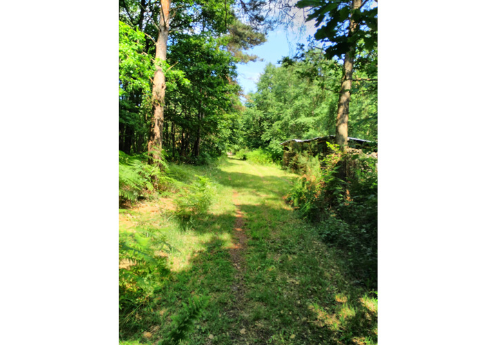 Camping le Bois de Saint-Hilaire_19