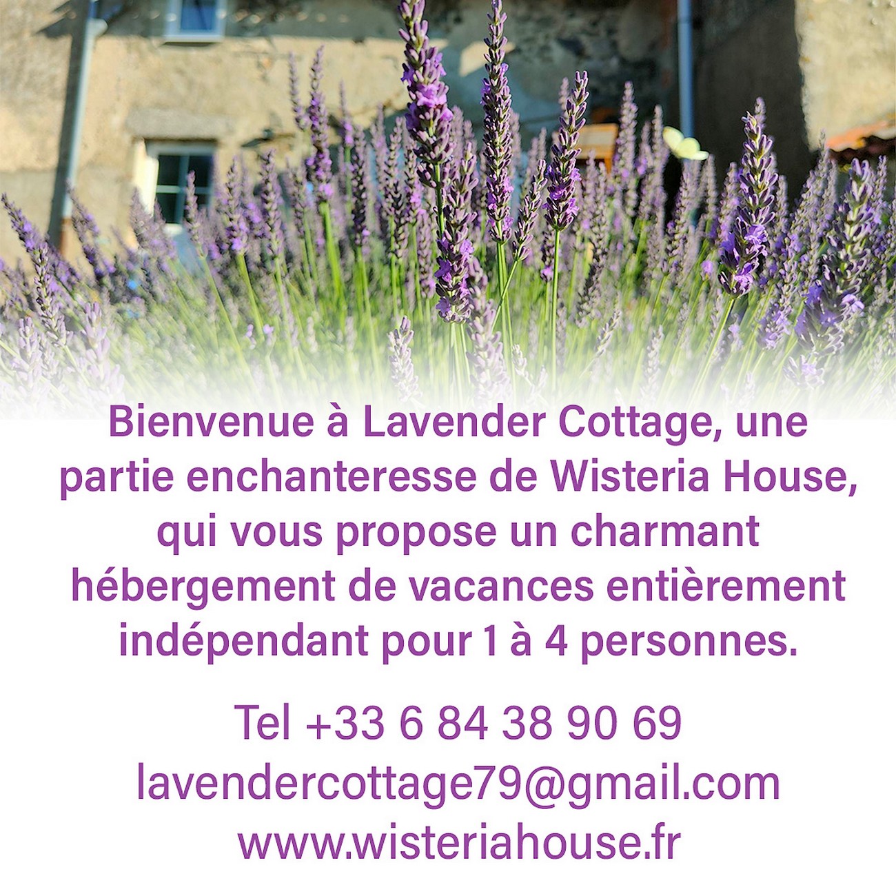 Gîte Lavender Cottage