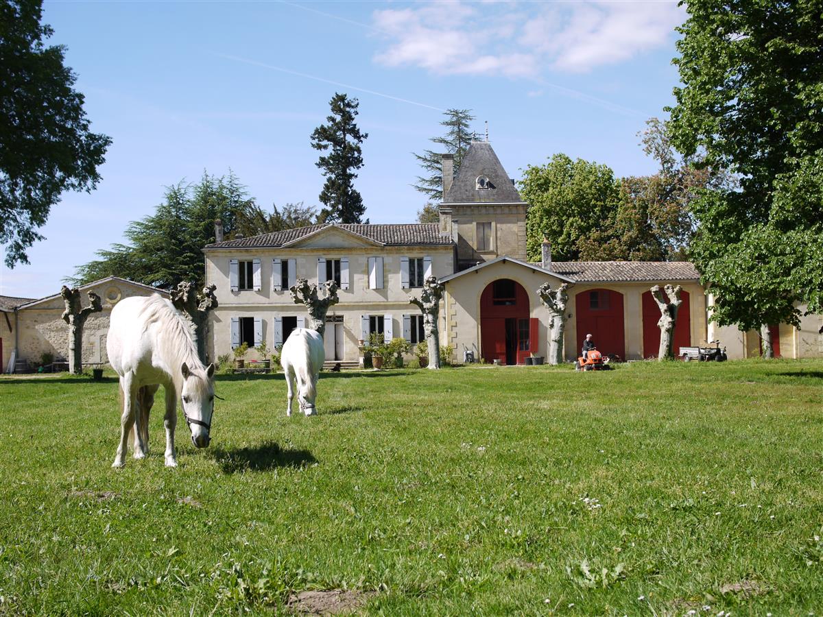 Affiche ou photo : Dégustation au Château Lusseau