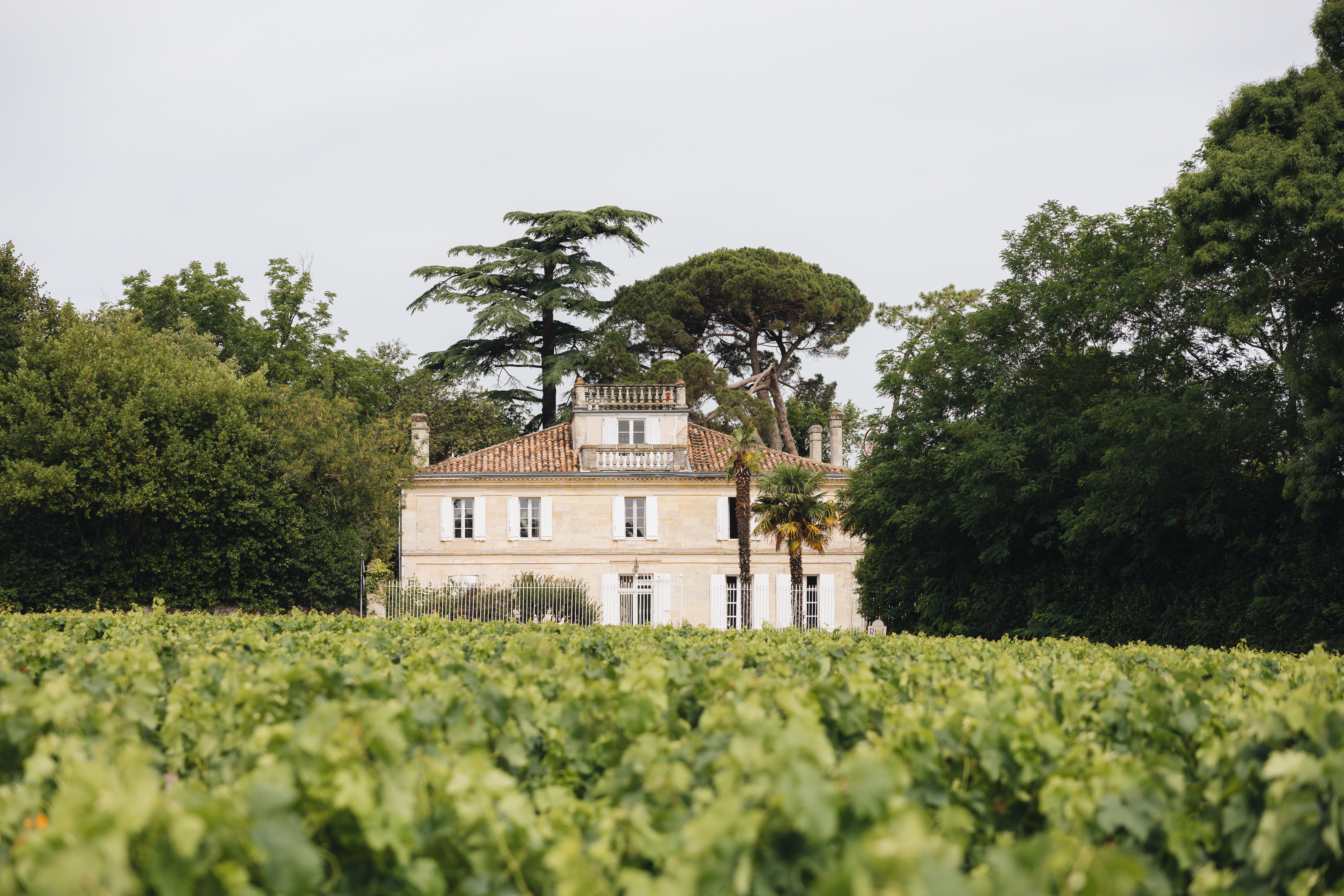 chateau-villa-real-ch-04
