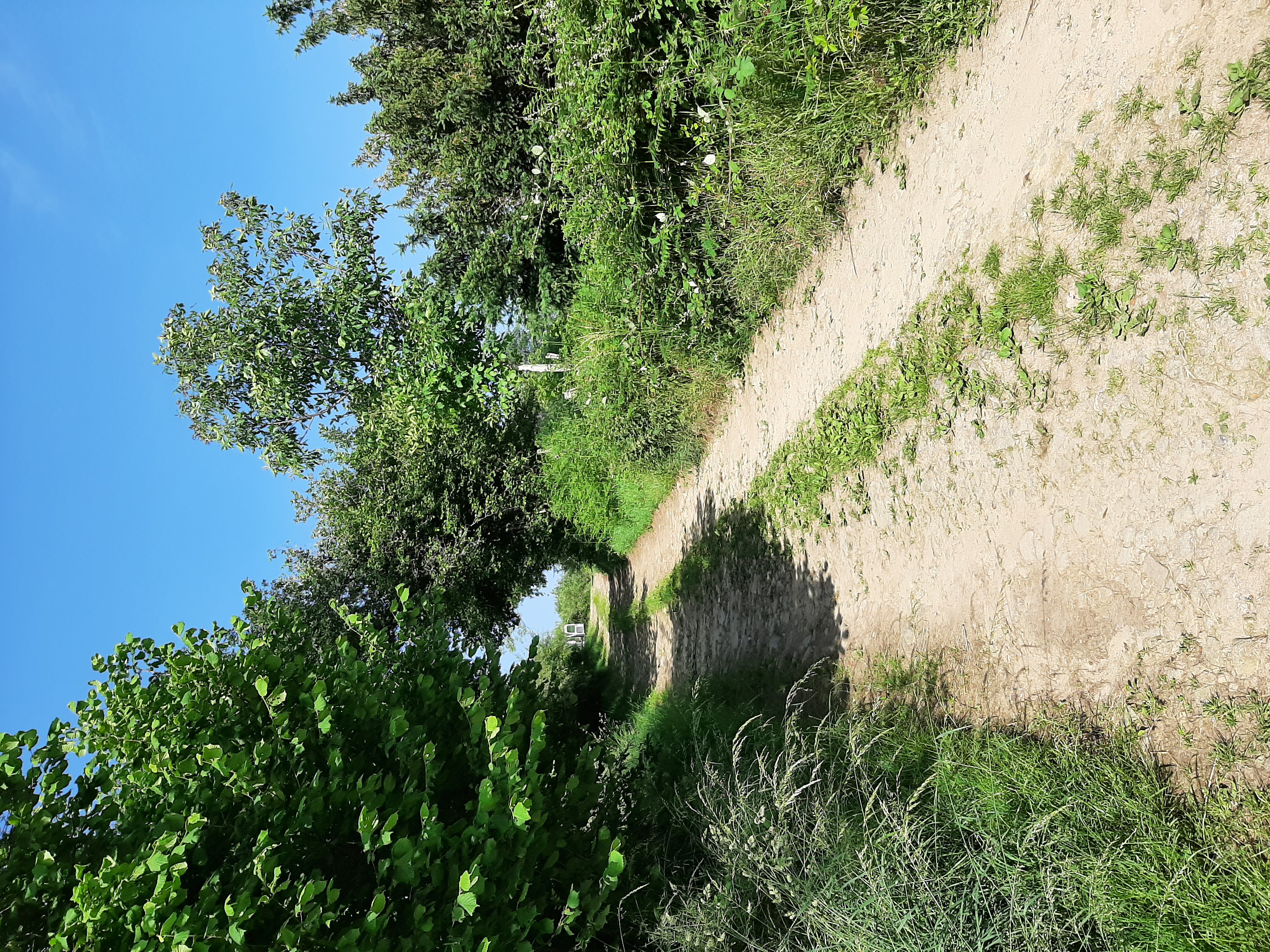Camping à la ferme Les Sauvageons