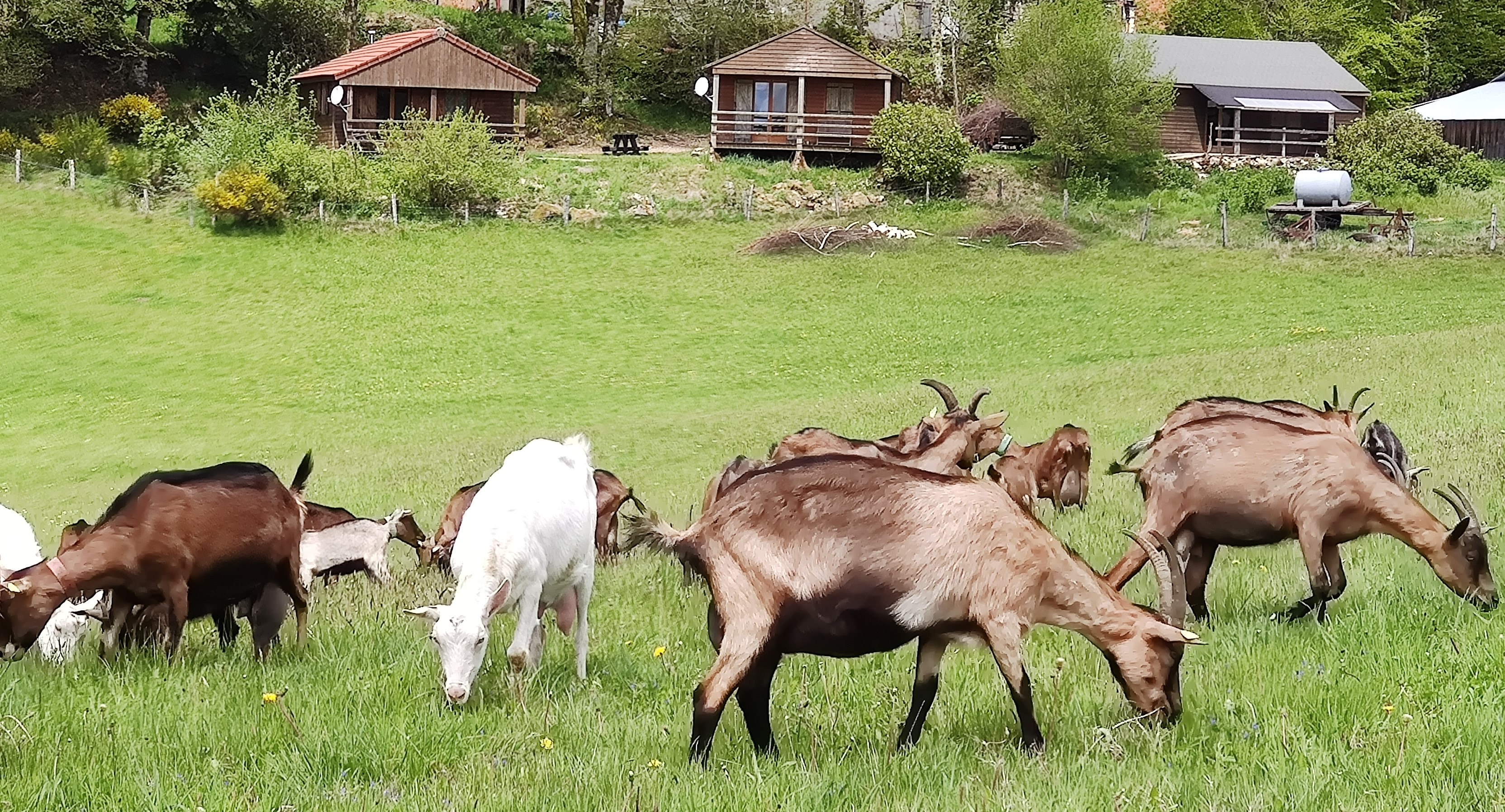 Chalet de la Ferme de Vassivière