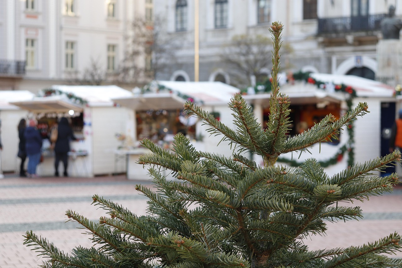 Affiche de Marché de Noël à Rochechouart