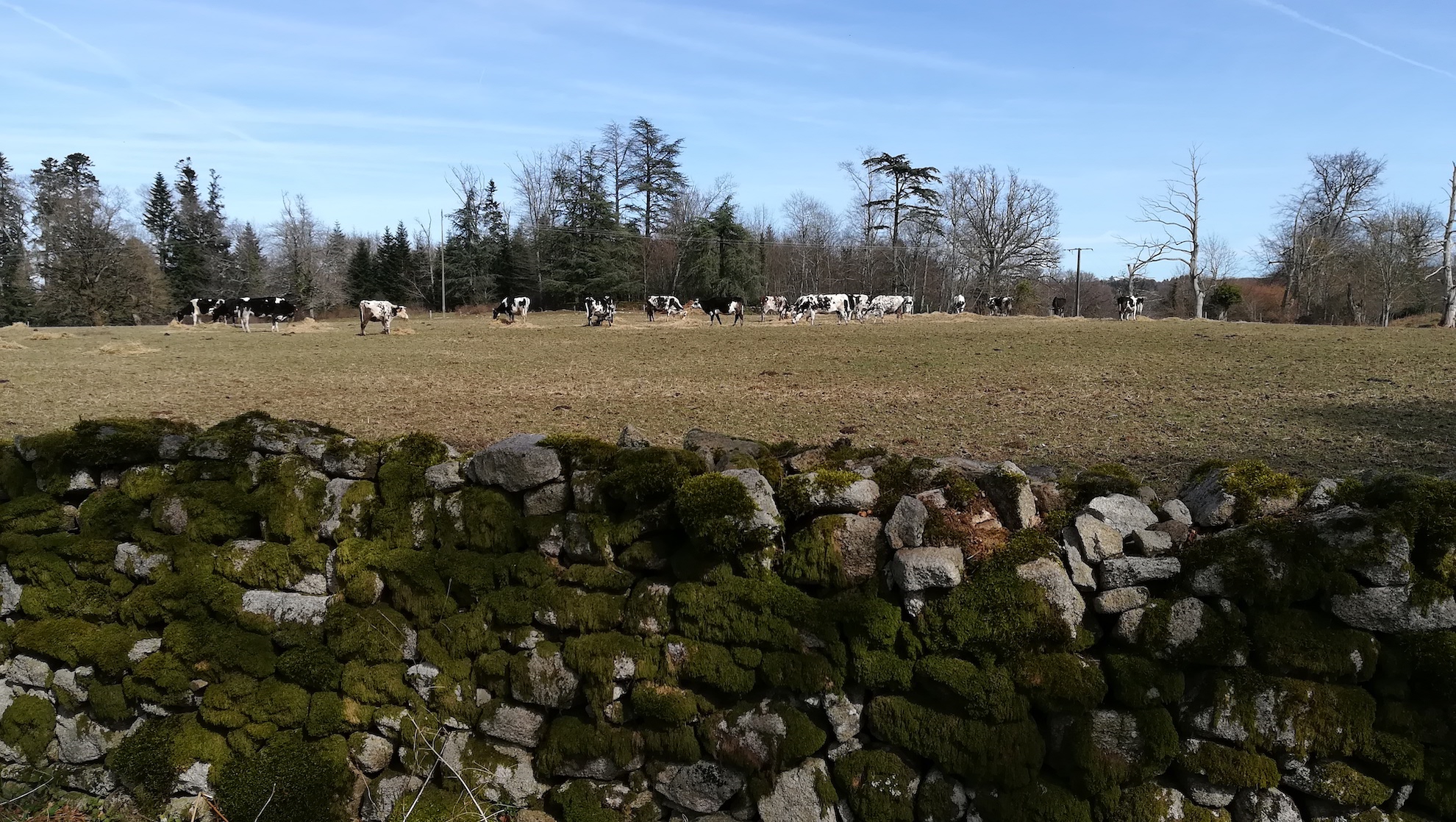 Sentier de Muret