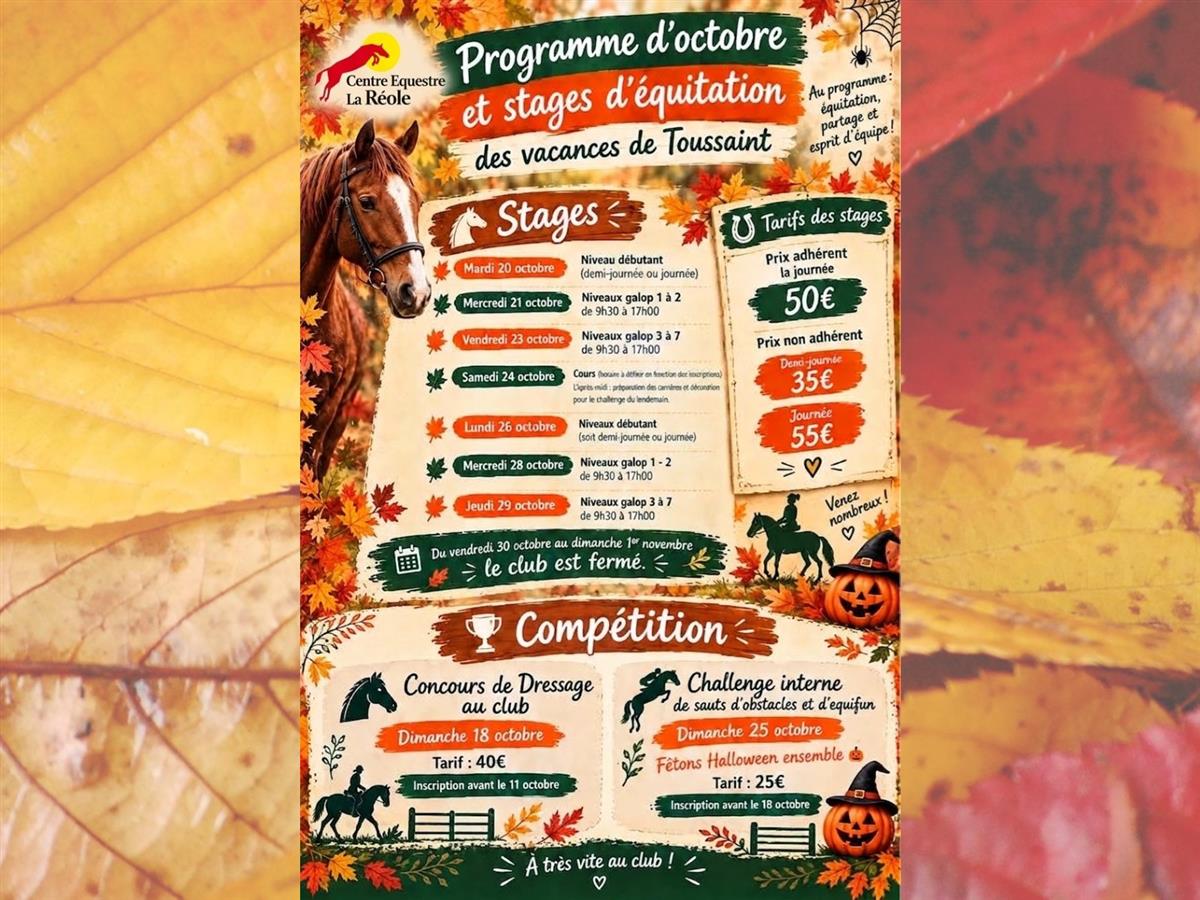 Affiche ou photo : Concours de dressage équestre