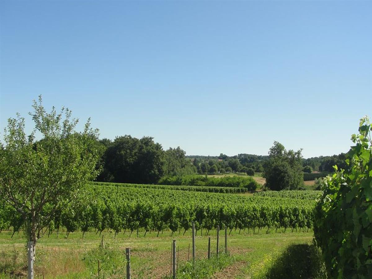 Affiche ou photo : Château des Cordonniers