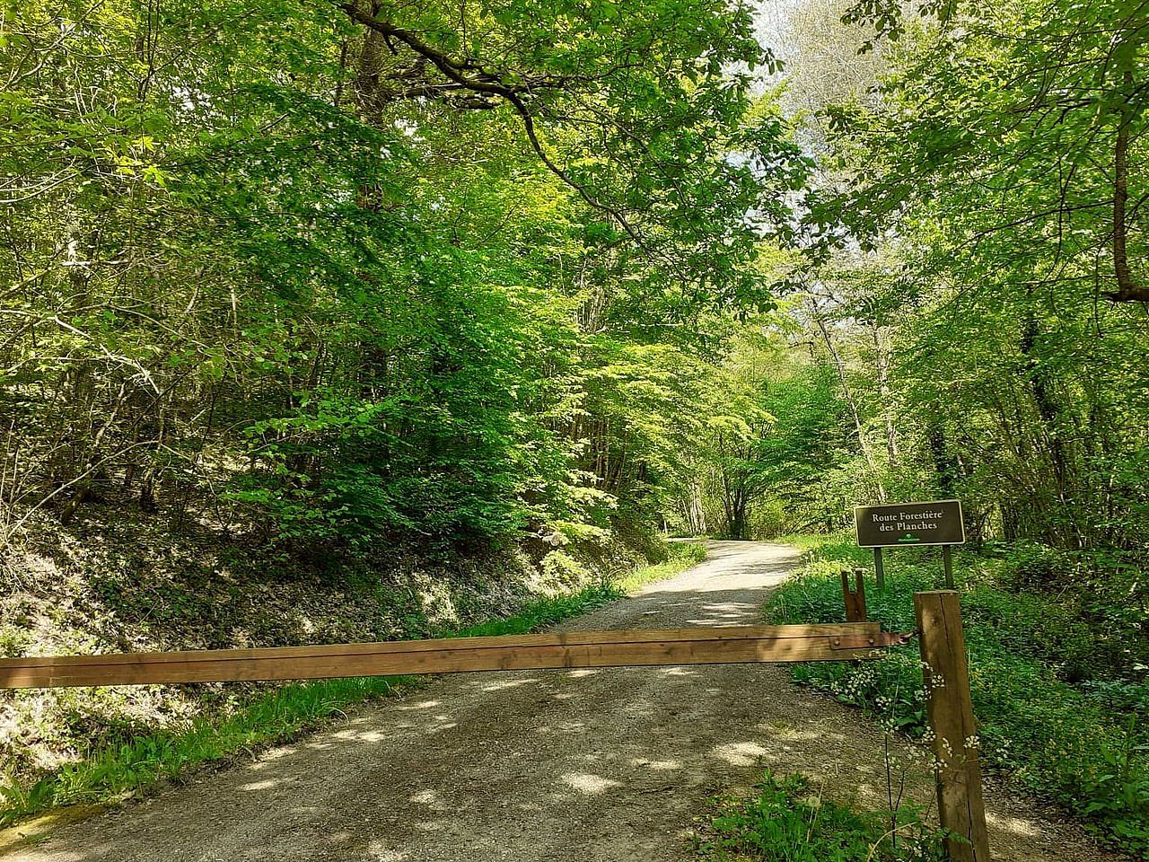 Circuit La Forêt