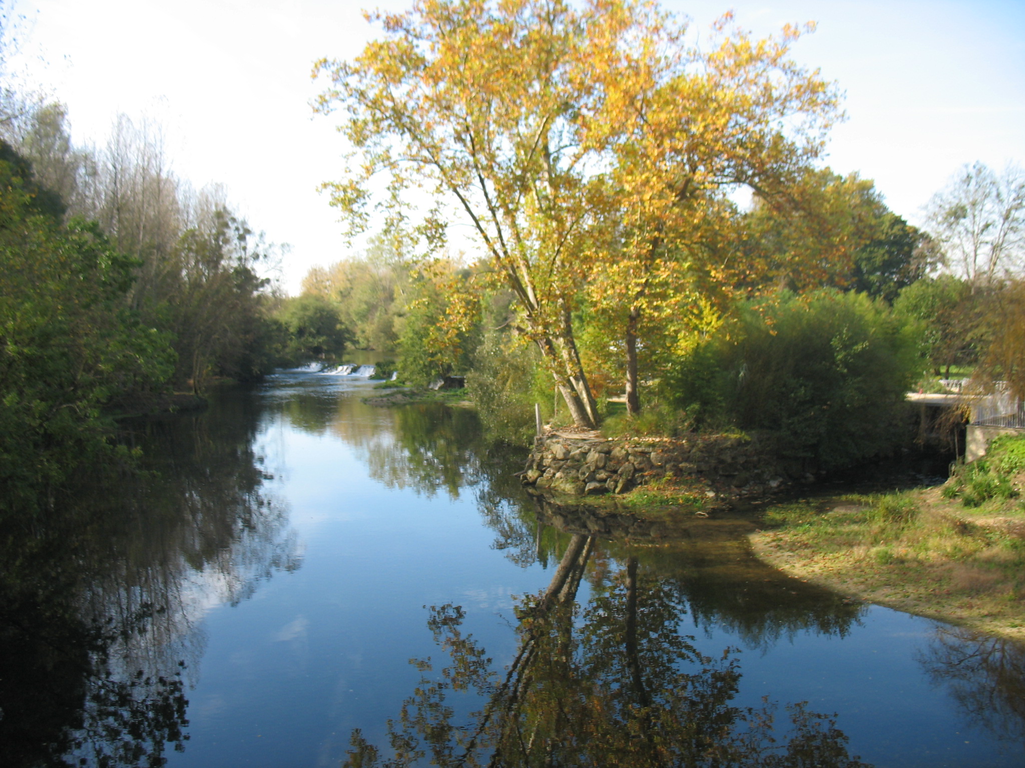 Des Bords de Vienne à la forêt de Châtellerault