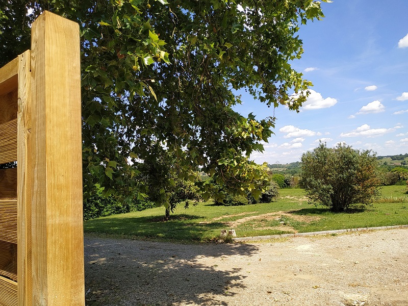 Domaine du Talion-Platane