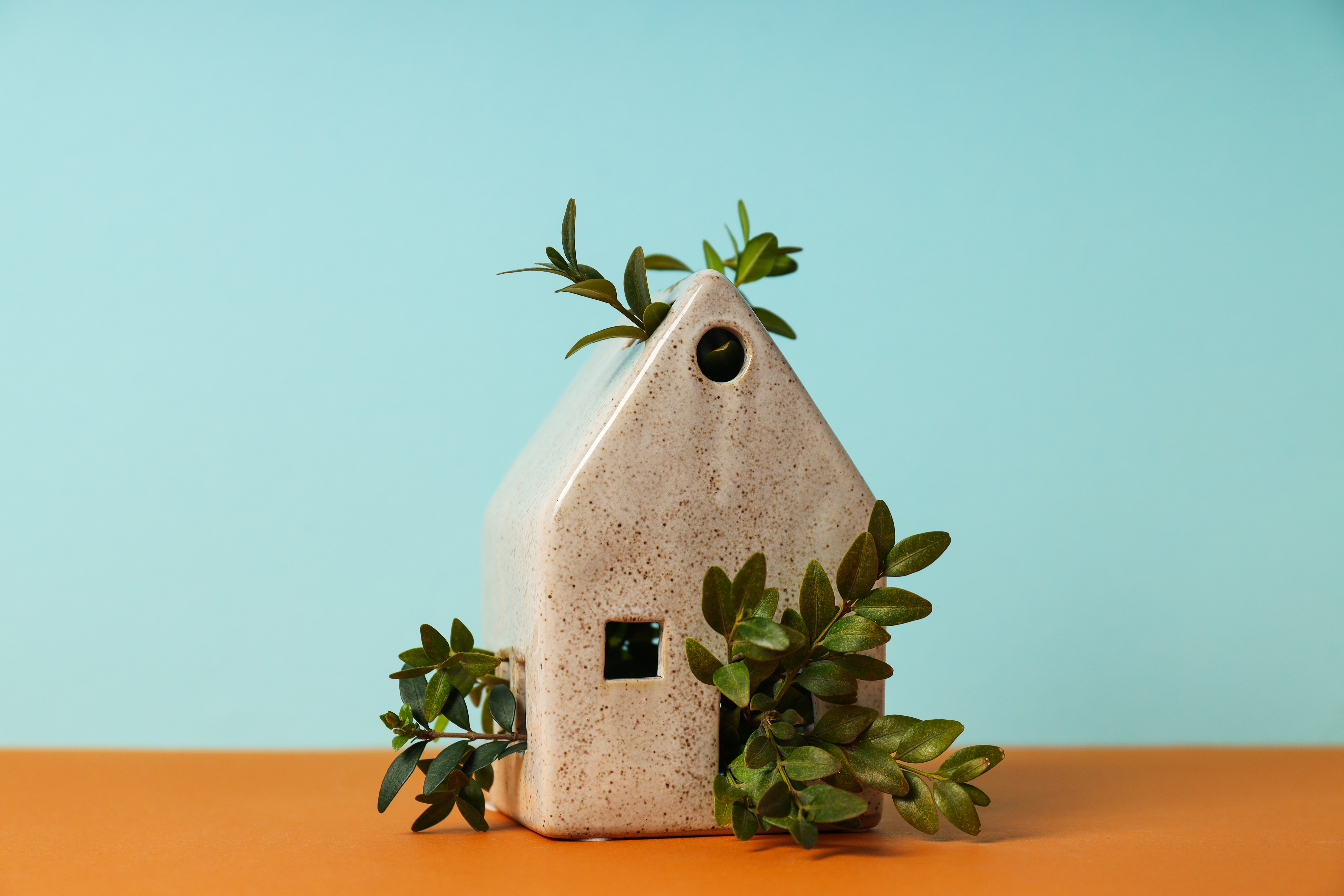 Photo maison avec feuillage