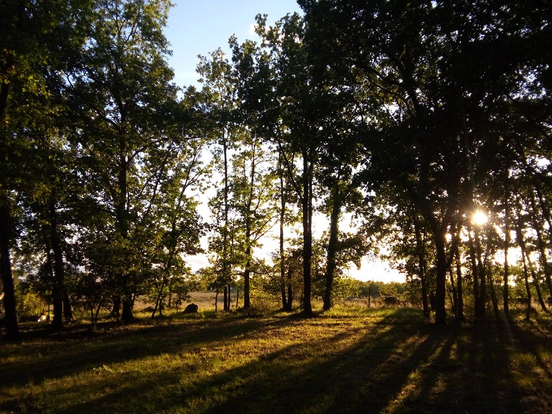 Camping à la ferme Crinière au vent