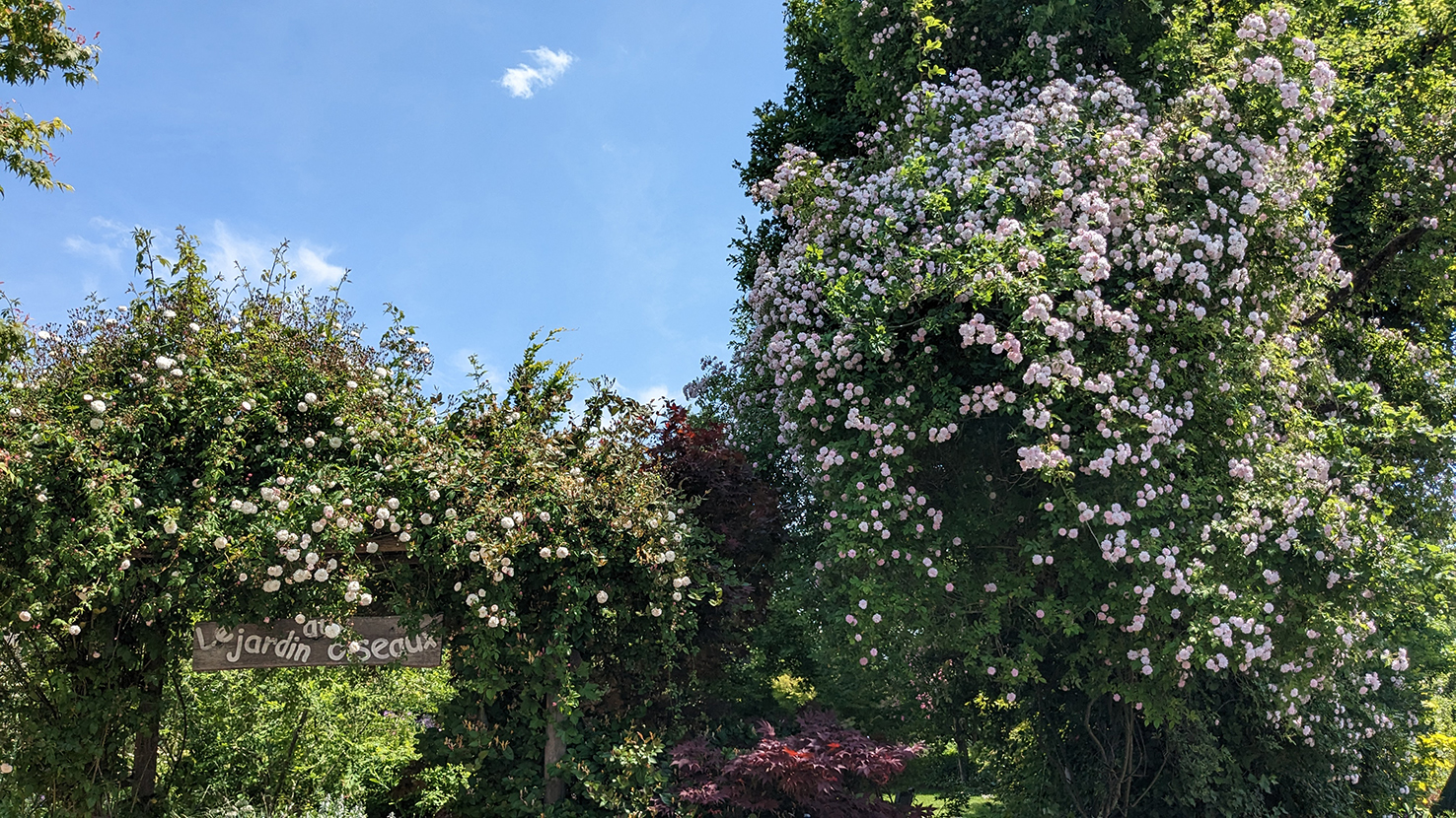 Le Jardin aux Oiseaux