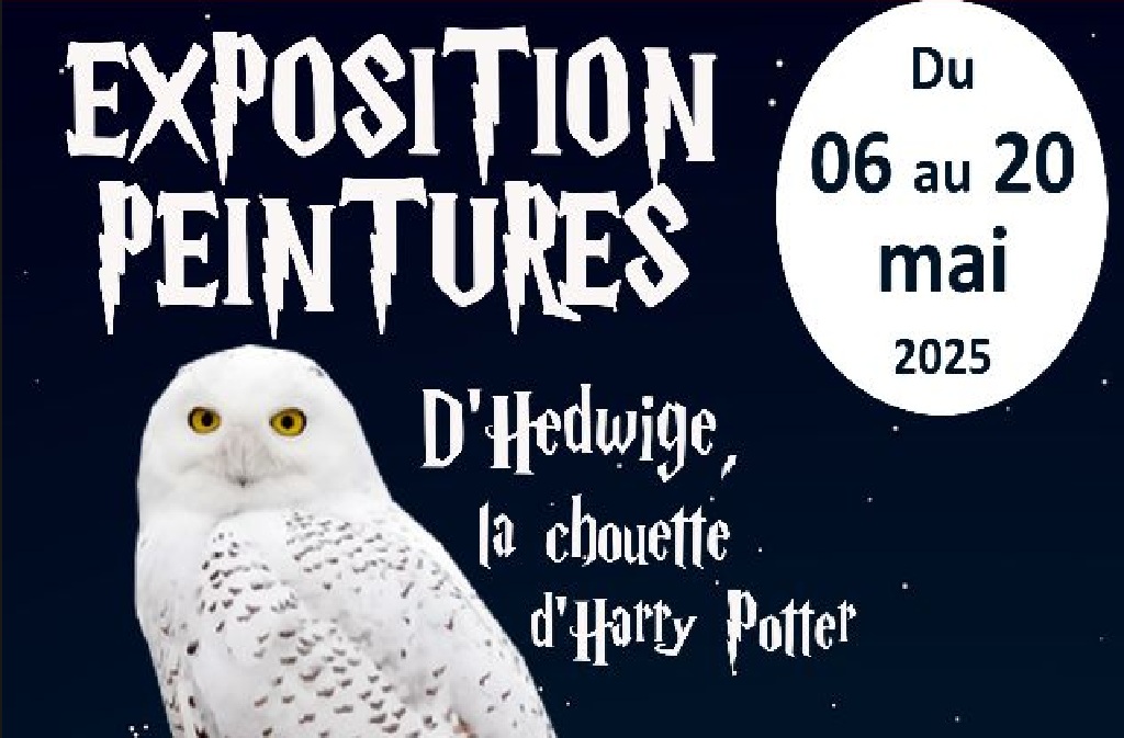 Expo peinture d’Hedwige, la chouette d’Harry Potter