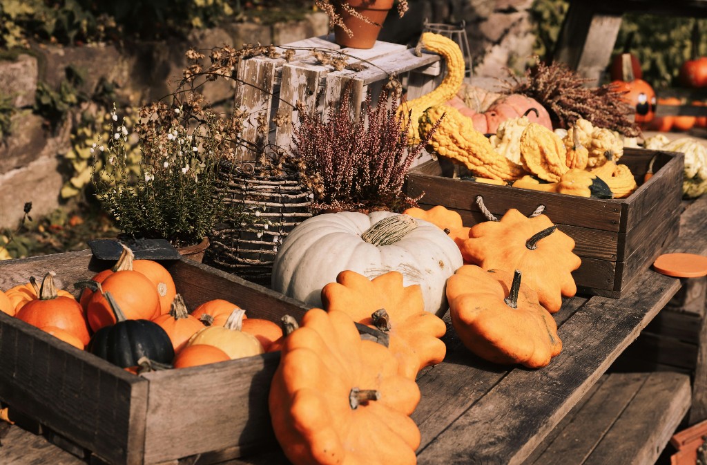 Fêtes de la citrouille : soirée jeux de société autour d'un repas d'automne