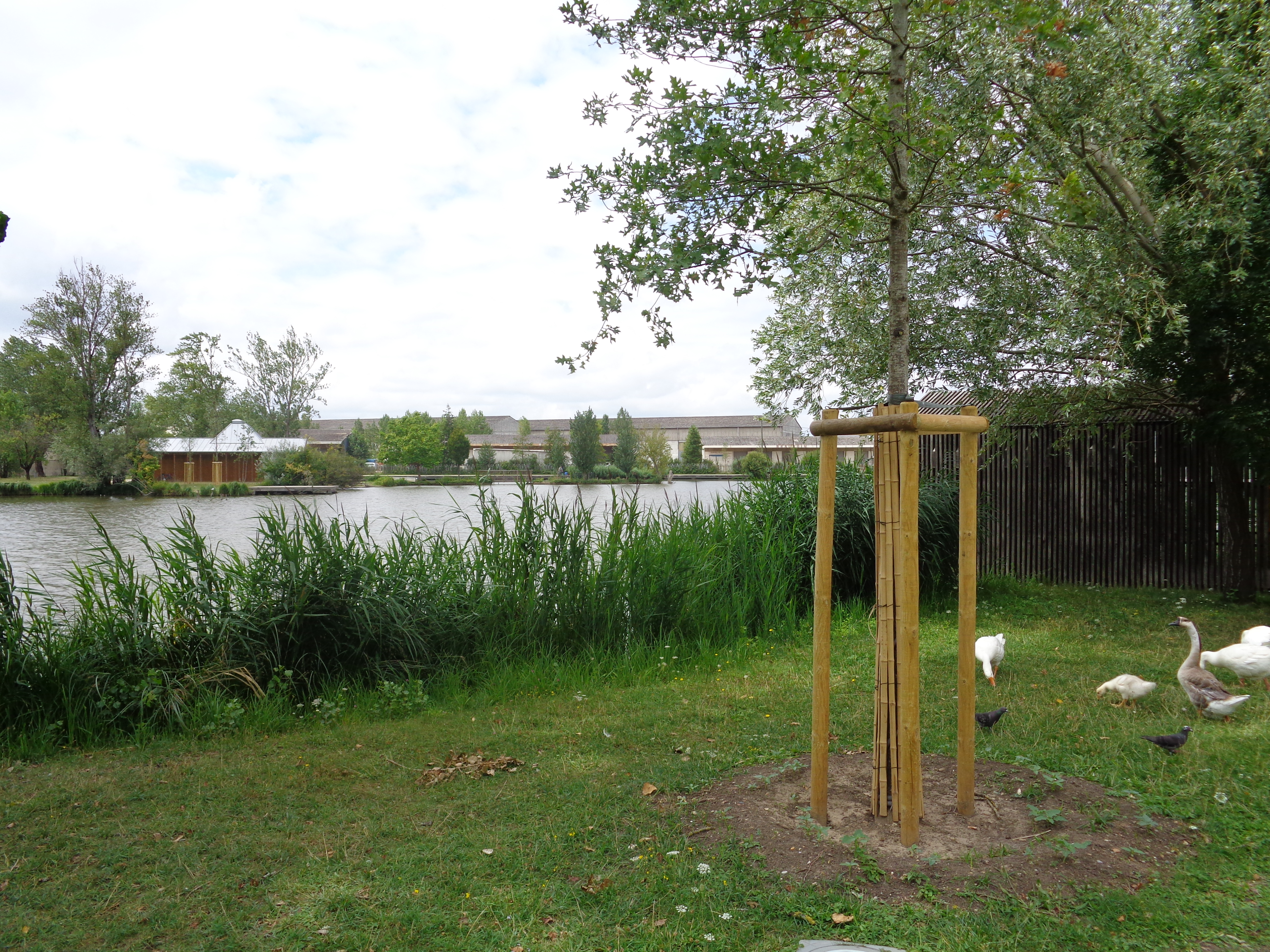Balade à roulettes : Le parc des étangs - Impraticable