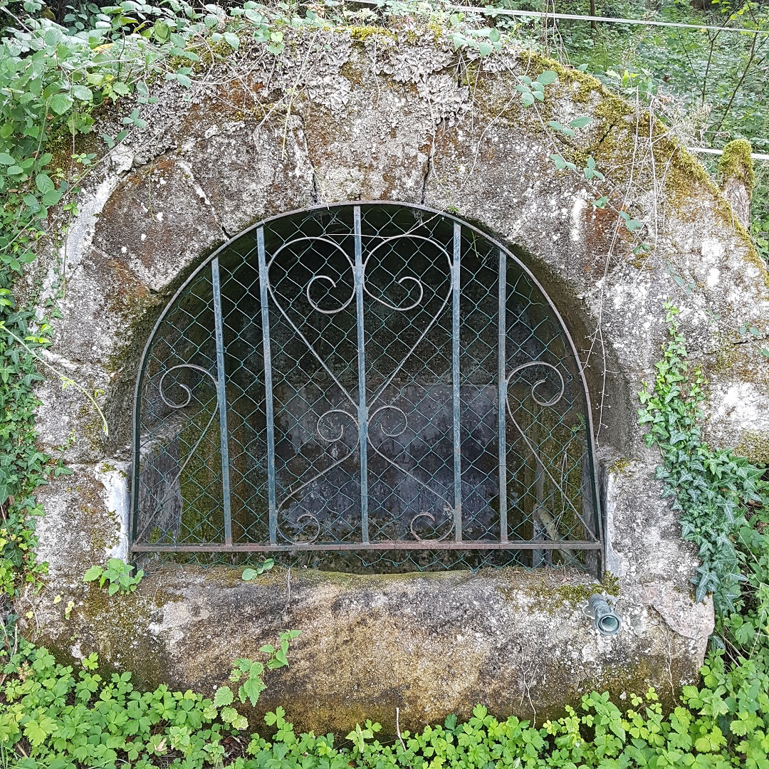 Fontaine Saint Remy Le Temple Varetz