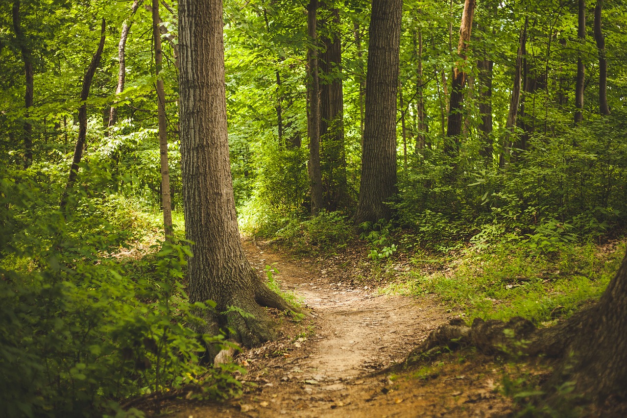 Journée des chemins