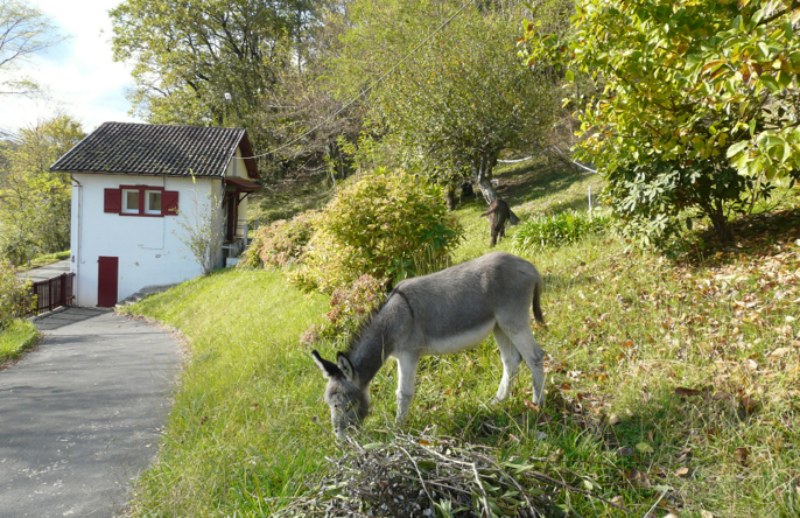 Location François