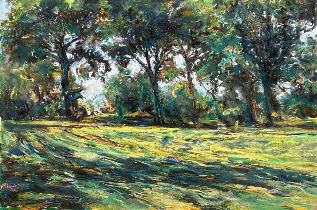 galaria expo Thierry Sellem