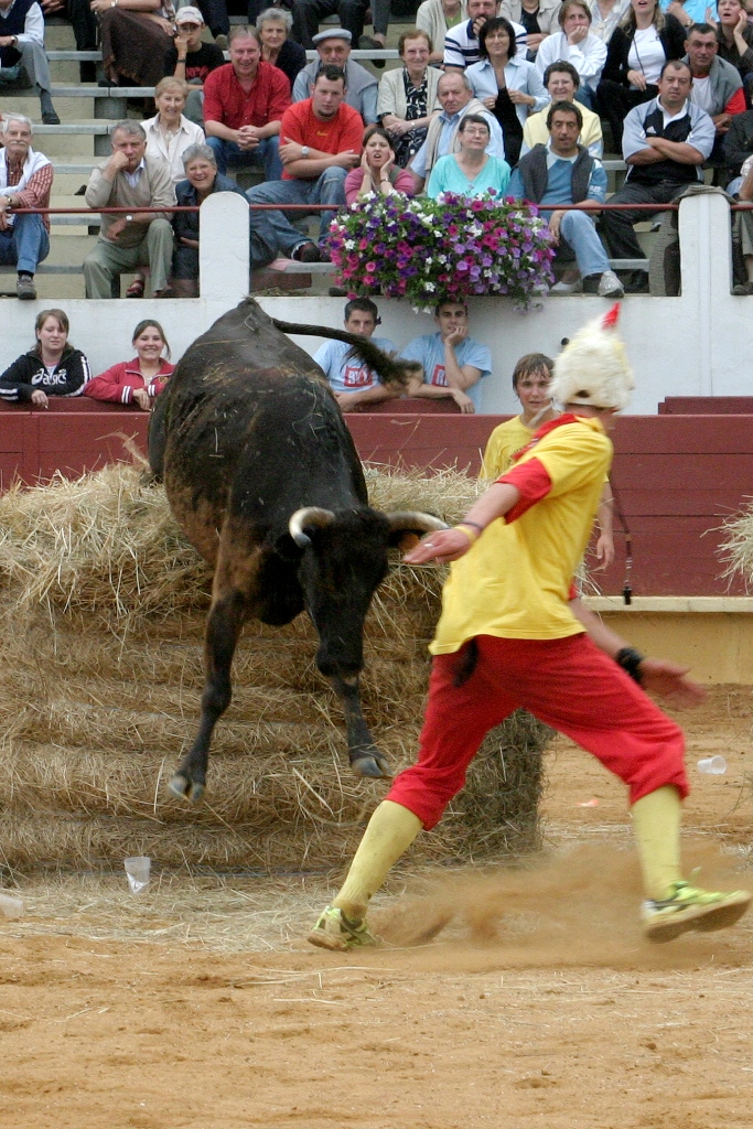 Ganaderia de Maynus, Saint-Sever - photo 23